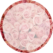round label backgrounds