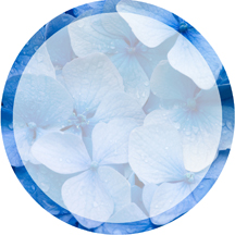 round label backgrounds